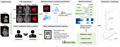 MRI radiomics-based machine learning model integrated with clinic-radiological features for preoperative differentiation of sinonasal inverted papilloma and malignant sinonasal tumors